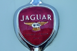 Jaguar XK 140
