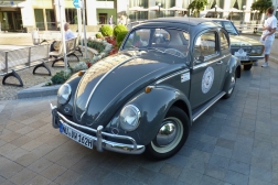 VW Beetle Leo