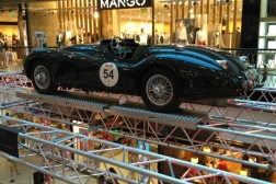 Jaguar XK 120 Race
