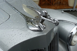 Packard Eight Touring Sedan de luxe