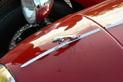 Jaguar Kougar 3.8 Sport MK II