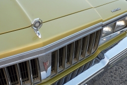 Pontiac Super V8 5.0L