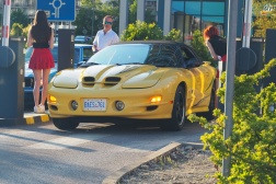 Pontiac Firebird Trans Am Coupe