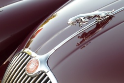 fridays_2026-7-3_190428