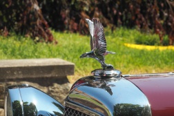 Alvis Cabrio