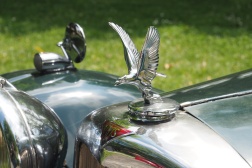 Alvis Speed 25 DHC