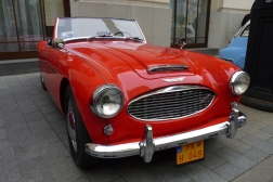 Austin Healey 100