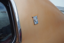 Buick Skylark Custom