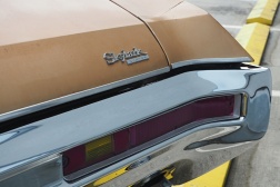 Buick Skylark Custom