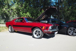 Ford Mustang Fastback