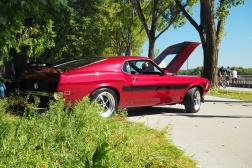 Ford Mustang Fastback