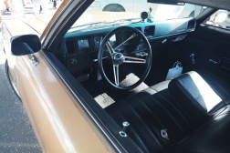 Buick Skylark Custom