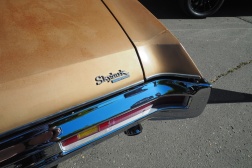 Buick Skylark Custom