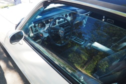 Pontiac Firebird Formula