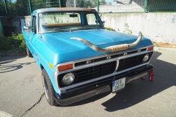 Ford F-100